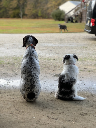 Photo from customer review