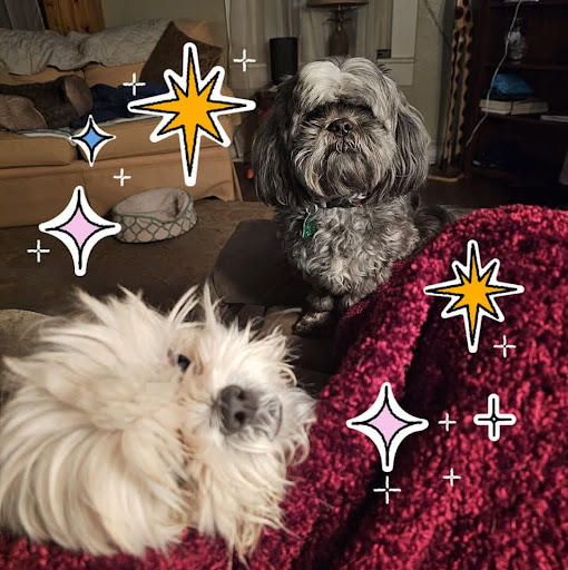 Photo from customer review