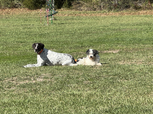 Photo from customer review