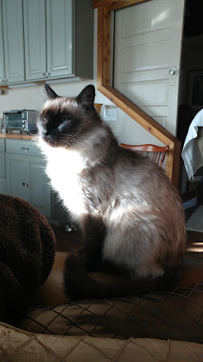 Photo from customer review