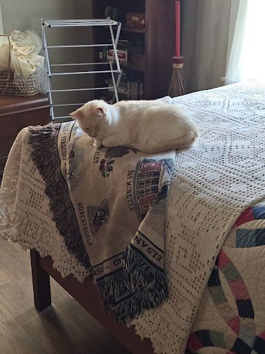 Photo from customer review