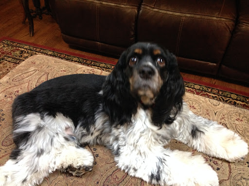 Photo from customer review