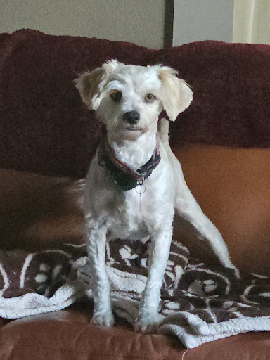 Photo from customer review