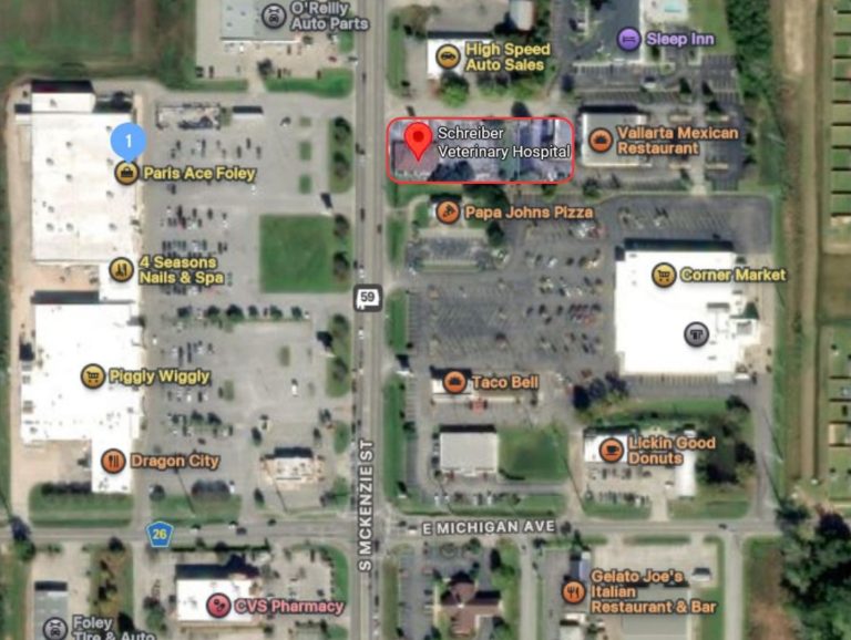 Schreiber Veterinary Hospital Map, located at 1157 S. McKenzie St Foley, AL 36535